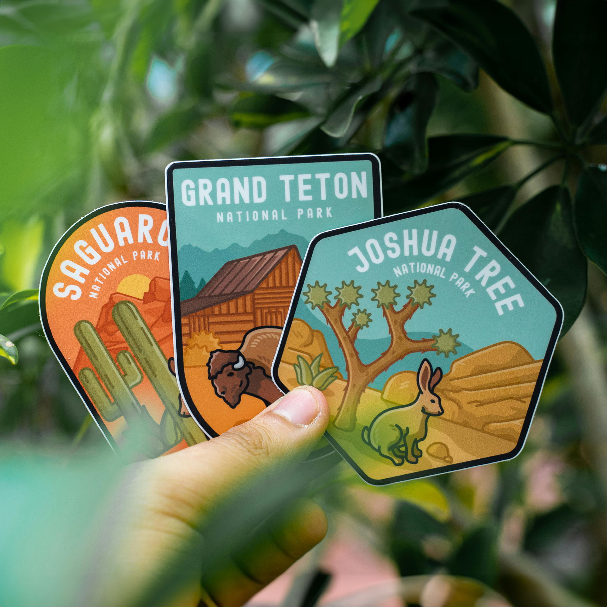 The second image features three stickers, each representing a different U.S. National Park. The stickers depict stylized illustrations of landscapes and animals specific to each park. The parks represented are Saguaro National Park, Grand Teton National Park, and Joshua Tree National Park. The stickers are held in a hand against a backdrop of greenery.