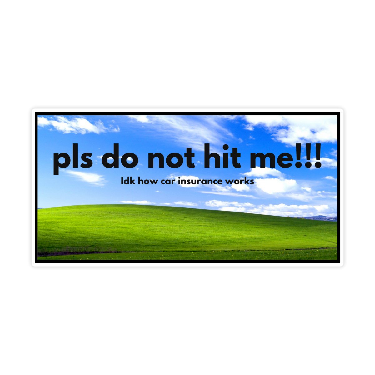 Pls Do Not Hit Me IDK How Insurance Works Sticker - stickerbull