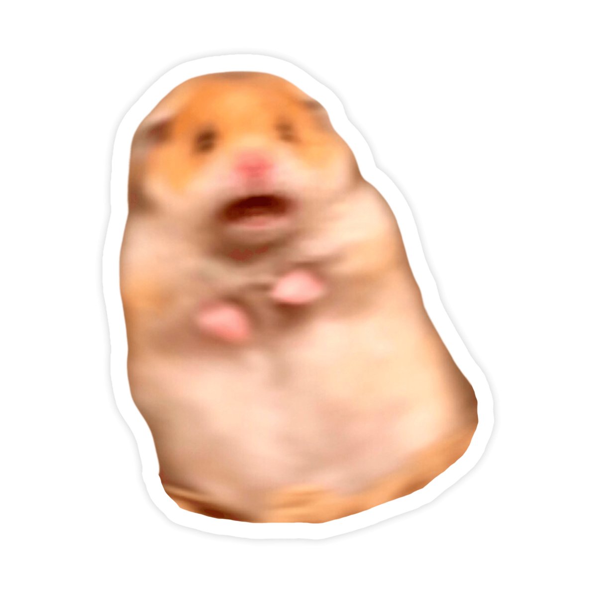 Scared Hamster Funny Meme Sticker - stickerbull