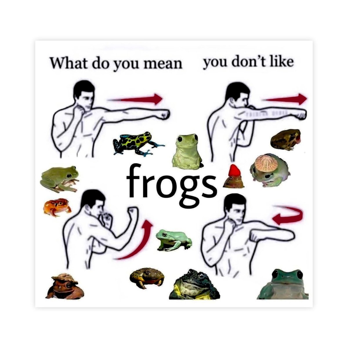 What Do You Mean You Don't Like Frogs Meme Sticker - stickerbull